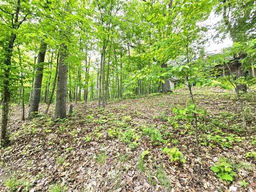 33660 368th Place, Aitkin, MN 56431