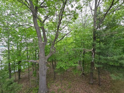 33660 368th Place, Aitkin, MN 56431