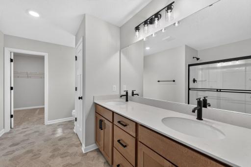 Owner's en-suite and access to the walk-in closet