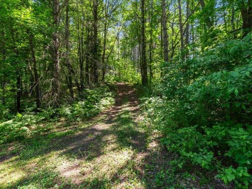45940 295th Street, Deerwood, MN 56444