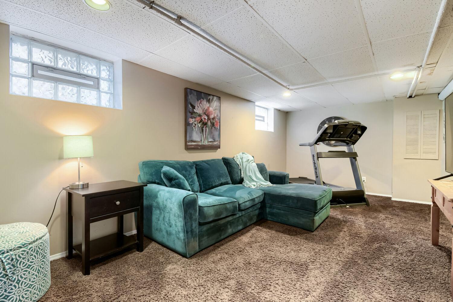 Lower level family room