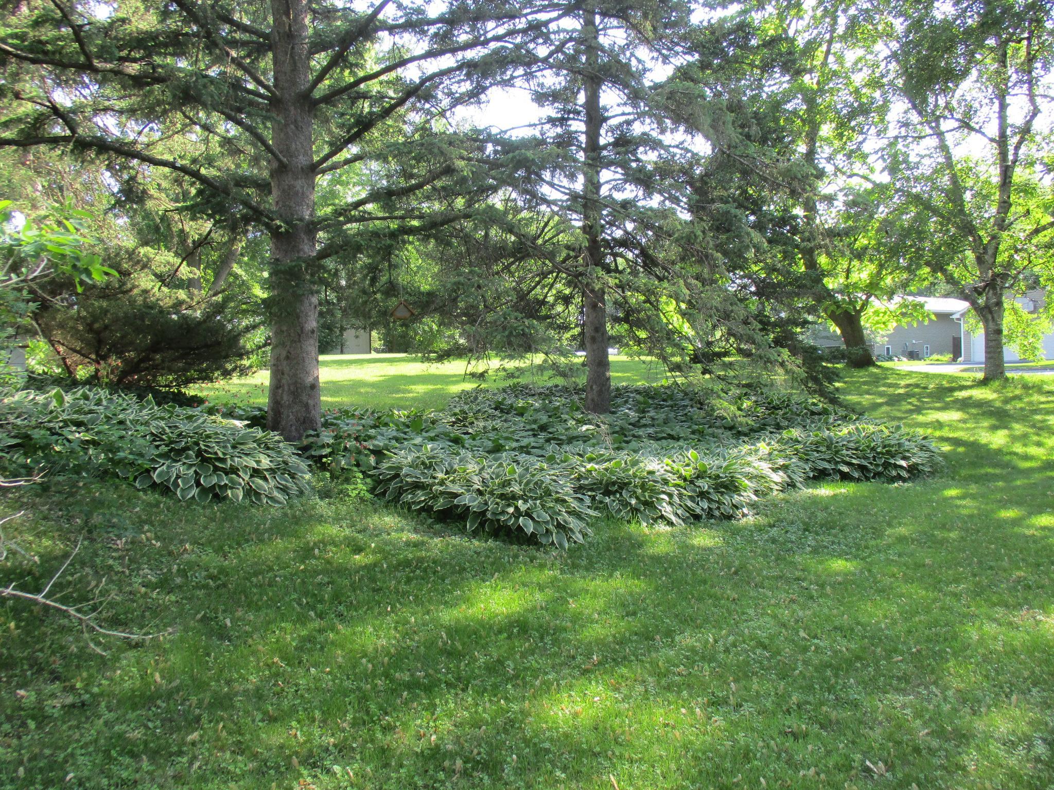 22-2021-05-03_164644.jpg