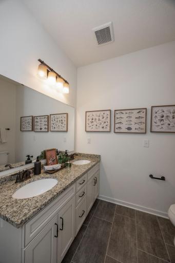 1538 Basswood Court, Waconia, MN 55387