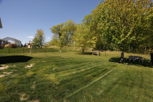1538 Basswood Court, Waconia, MN 55387