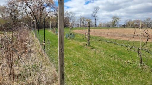 209 3rd Avenue S, Dent, MN 56528