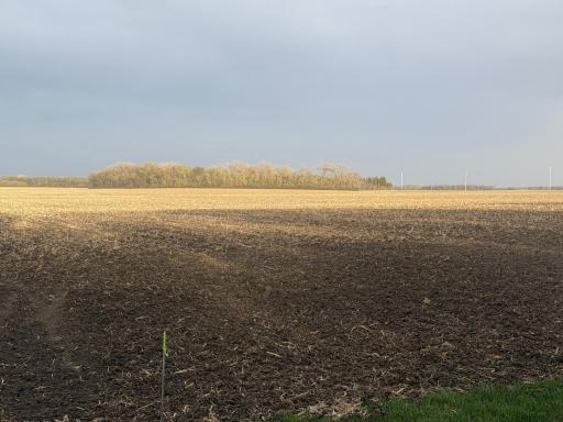 3544 250th Street, Dawson, MN 56232