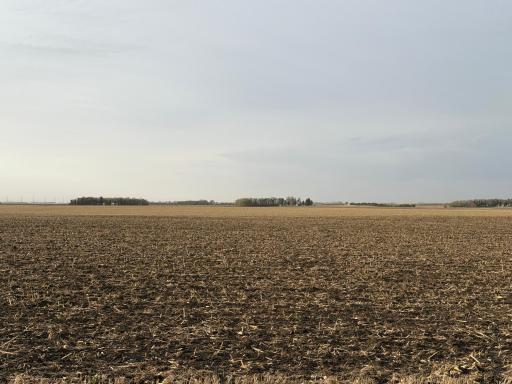 3544 250th Street, Dawson, MN 56232