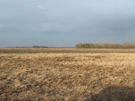 3544 250th Street, Dawson, MN 56232