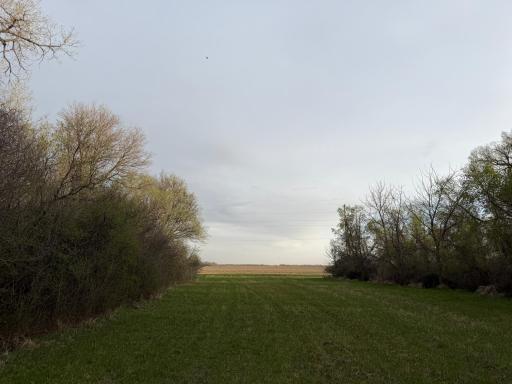 3544 250th Street, Dawson, MN 56232