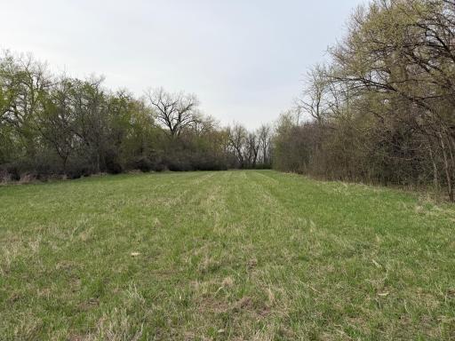 3544 250th Street, Dawson, MN 56232