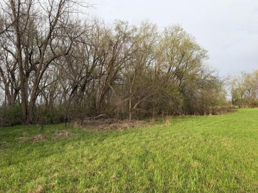 3544 250th Street, Dawson, MN 56232