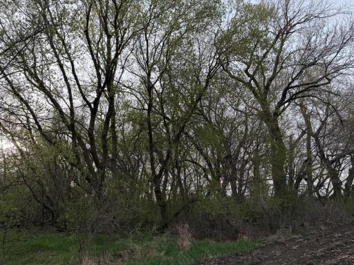 3544 250th Street, Dawson, MN 56232