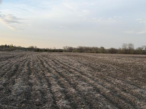 3775 230th Street, Montevideo, MN 56265