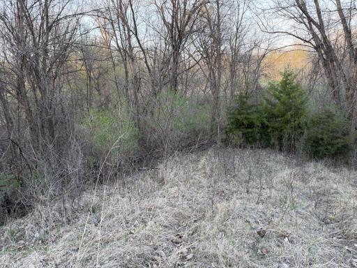 3775 230th Street, Montevideo, MN 56265