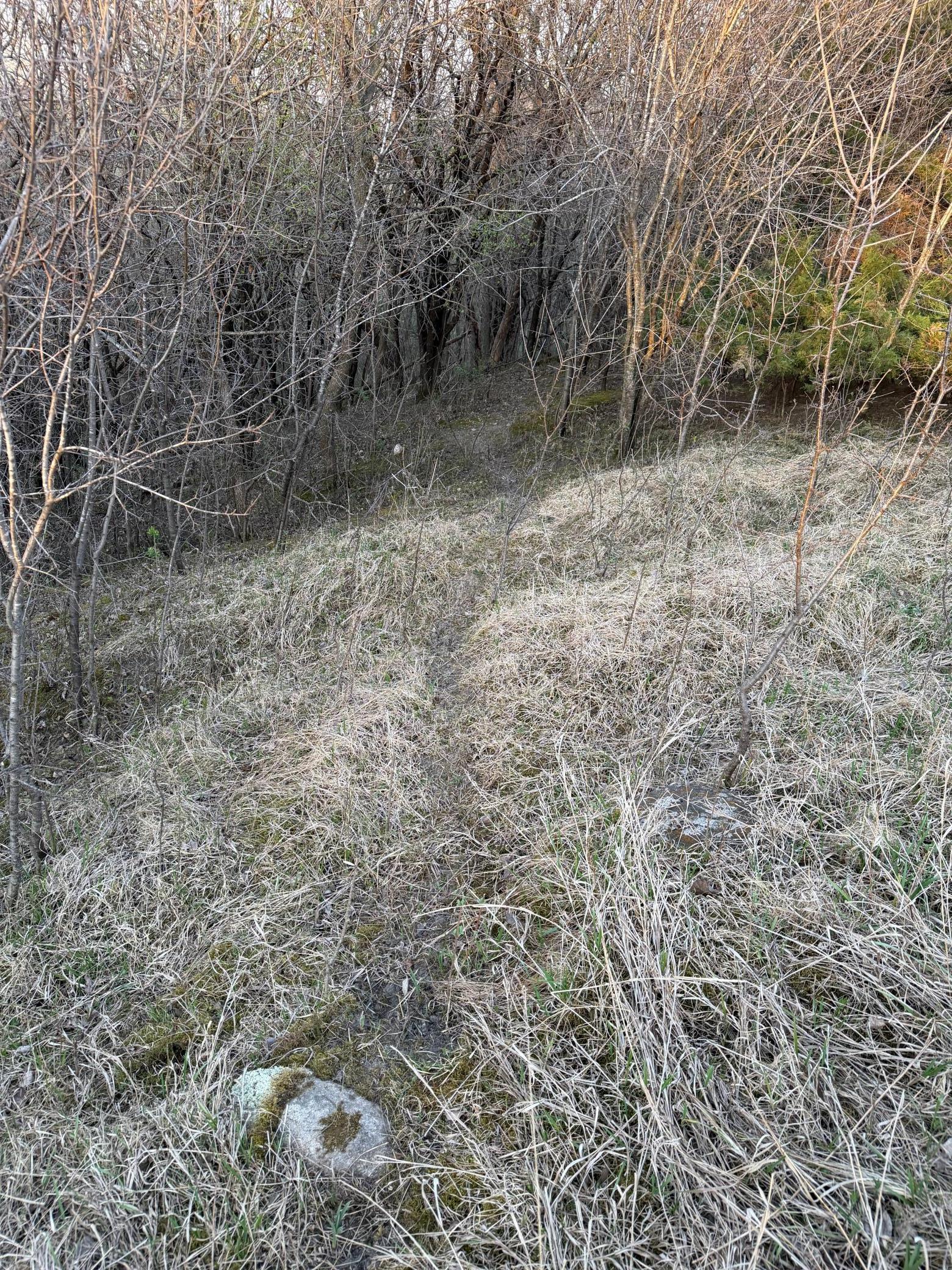 IMG_3195.JPG