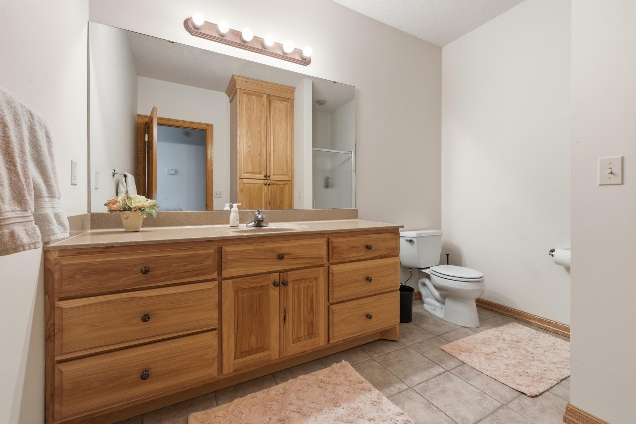 Lower level bath with shower