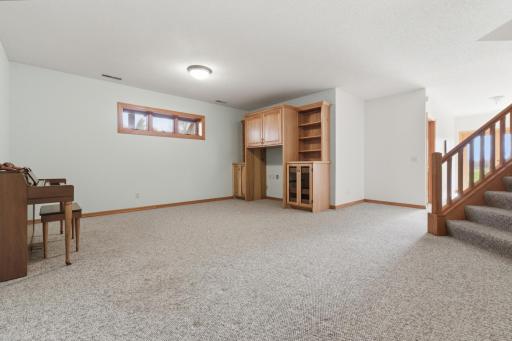 Lower level family room with custum cabinetry