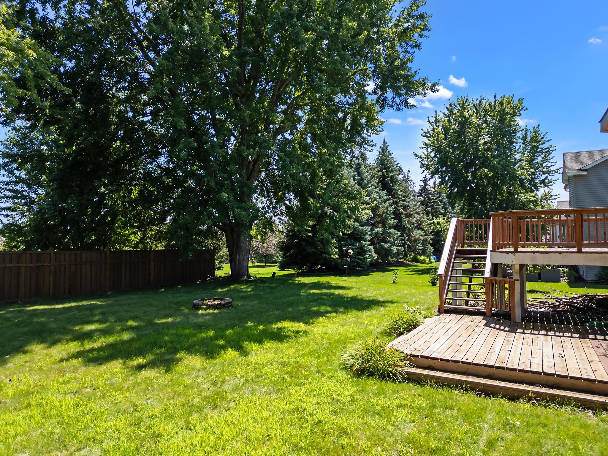 BackYard01.jpg