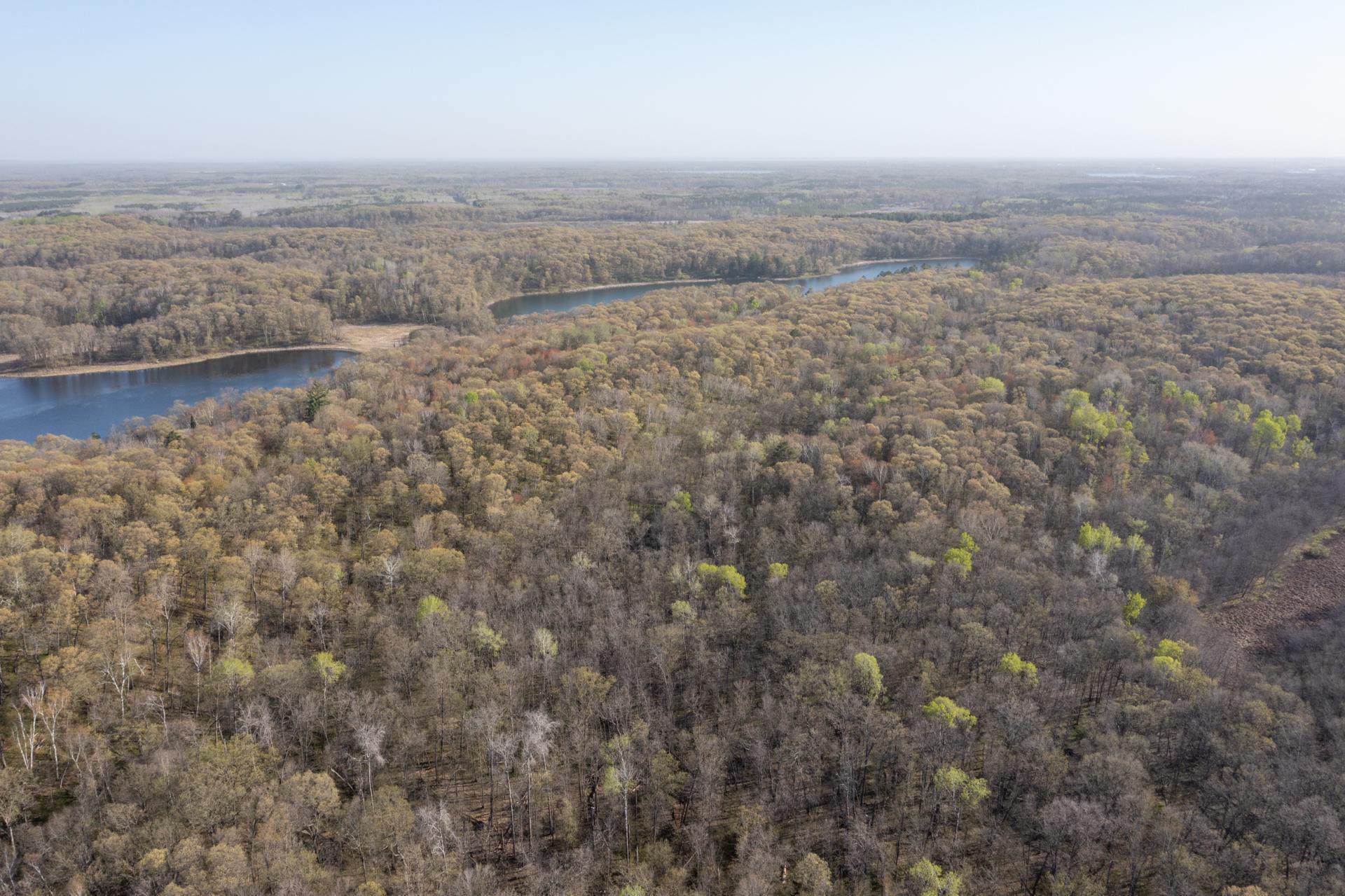 DJI_0176.jpg