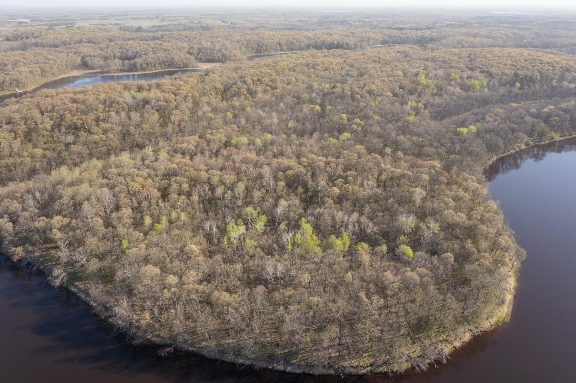 DJI_0173.jpg