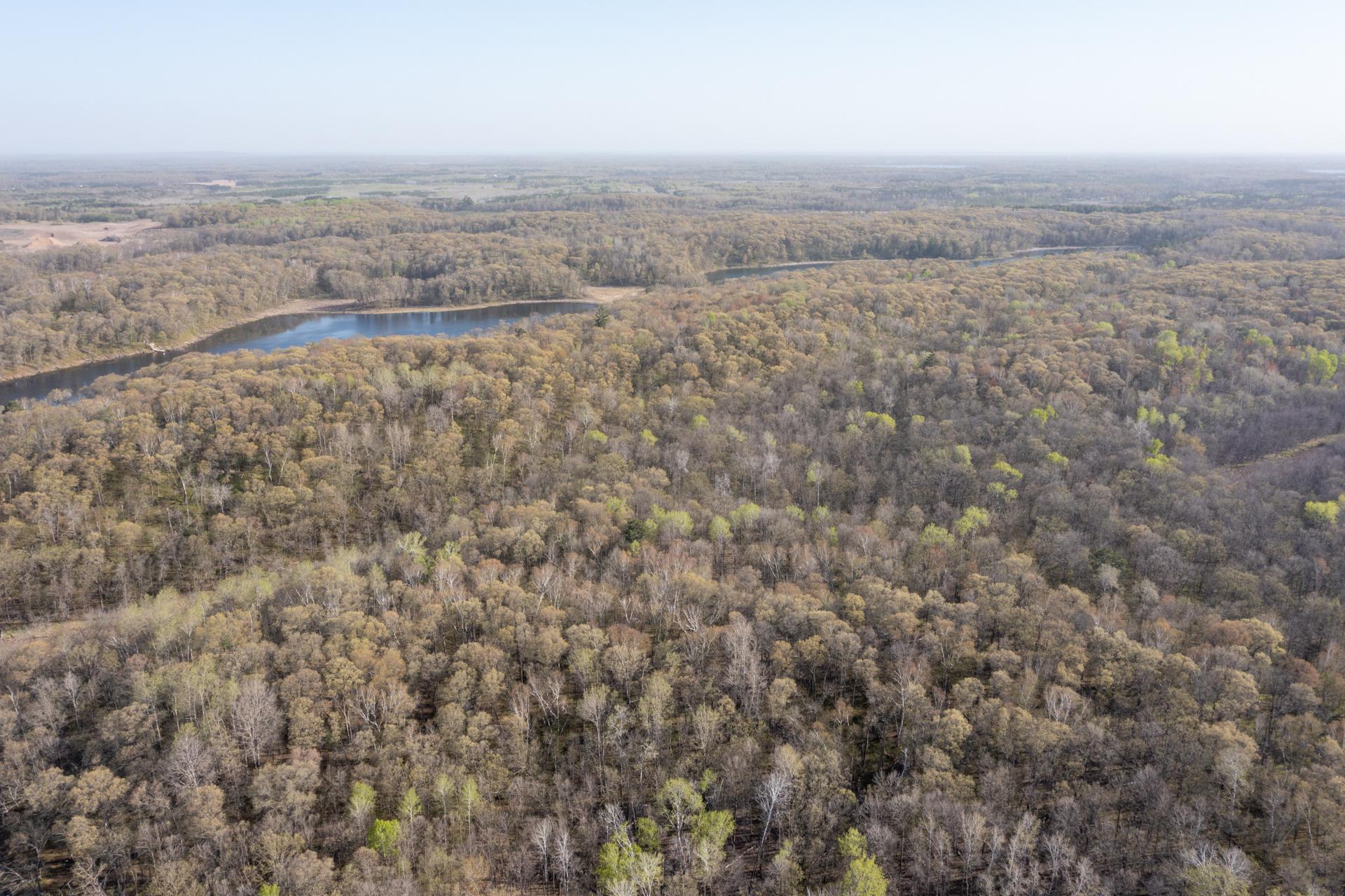 DJI_0175.jpg