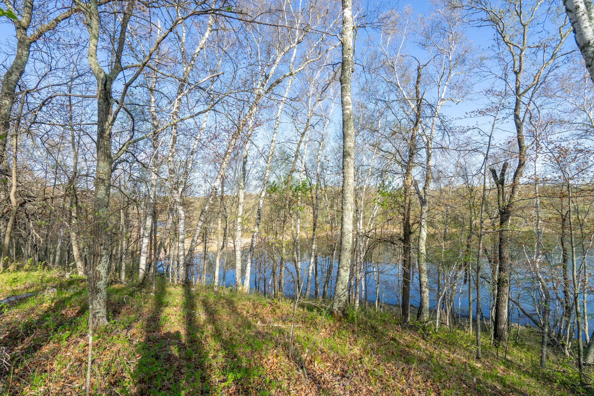 DSC01119.jpg