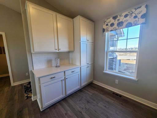Lots of closets and pantry space will ensure that you have plenty of storage options. Photo is of model home. Colors and options may vary. Ask Sales Agent for details.