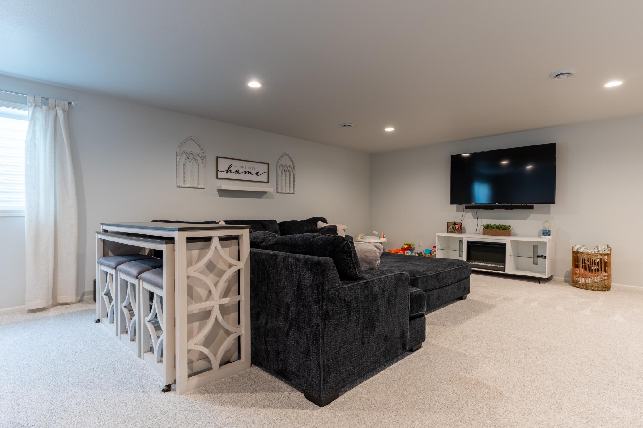 Basement Living Room