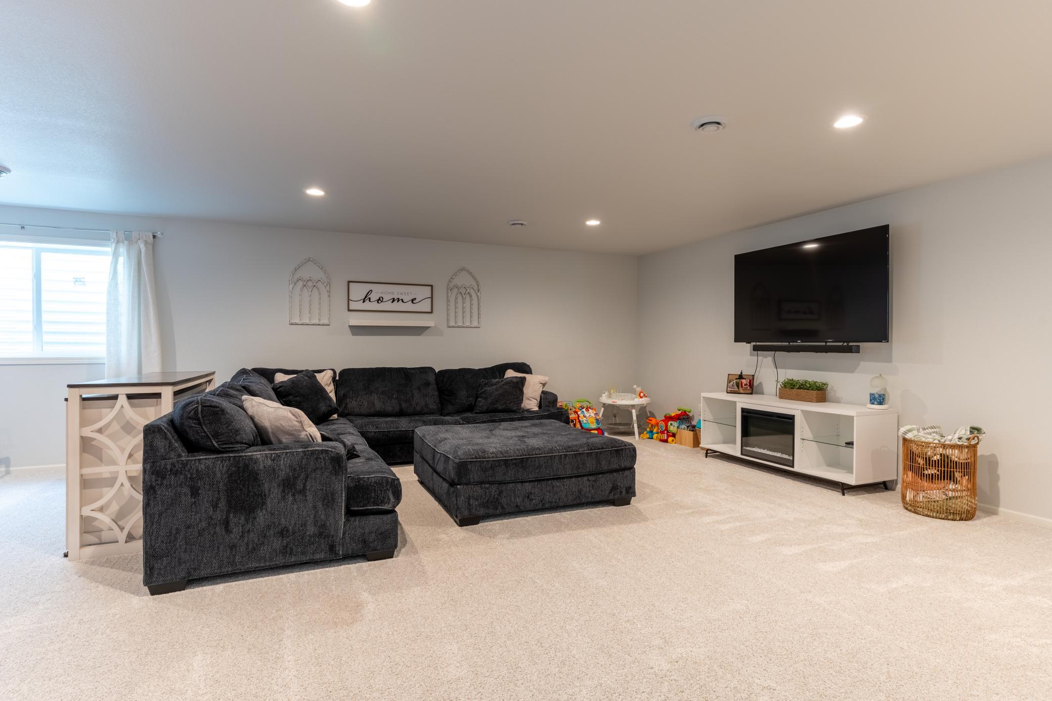 Basement Living Room