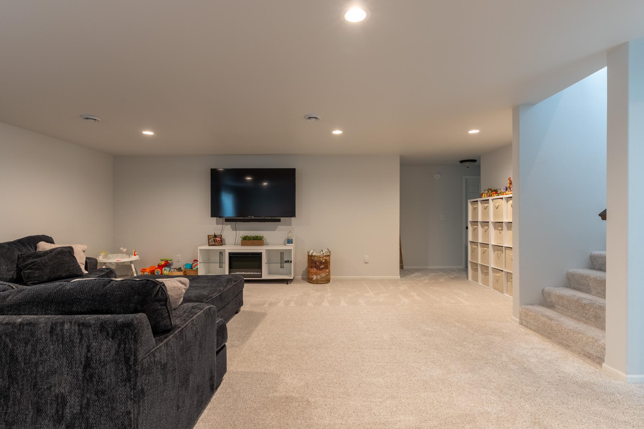 Basement Living Room