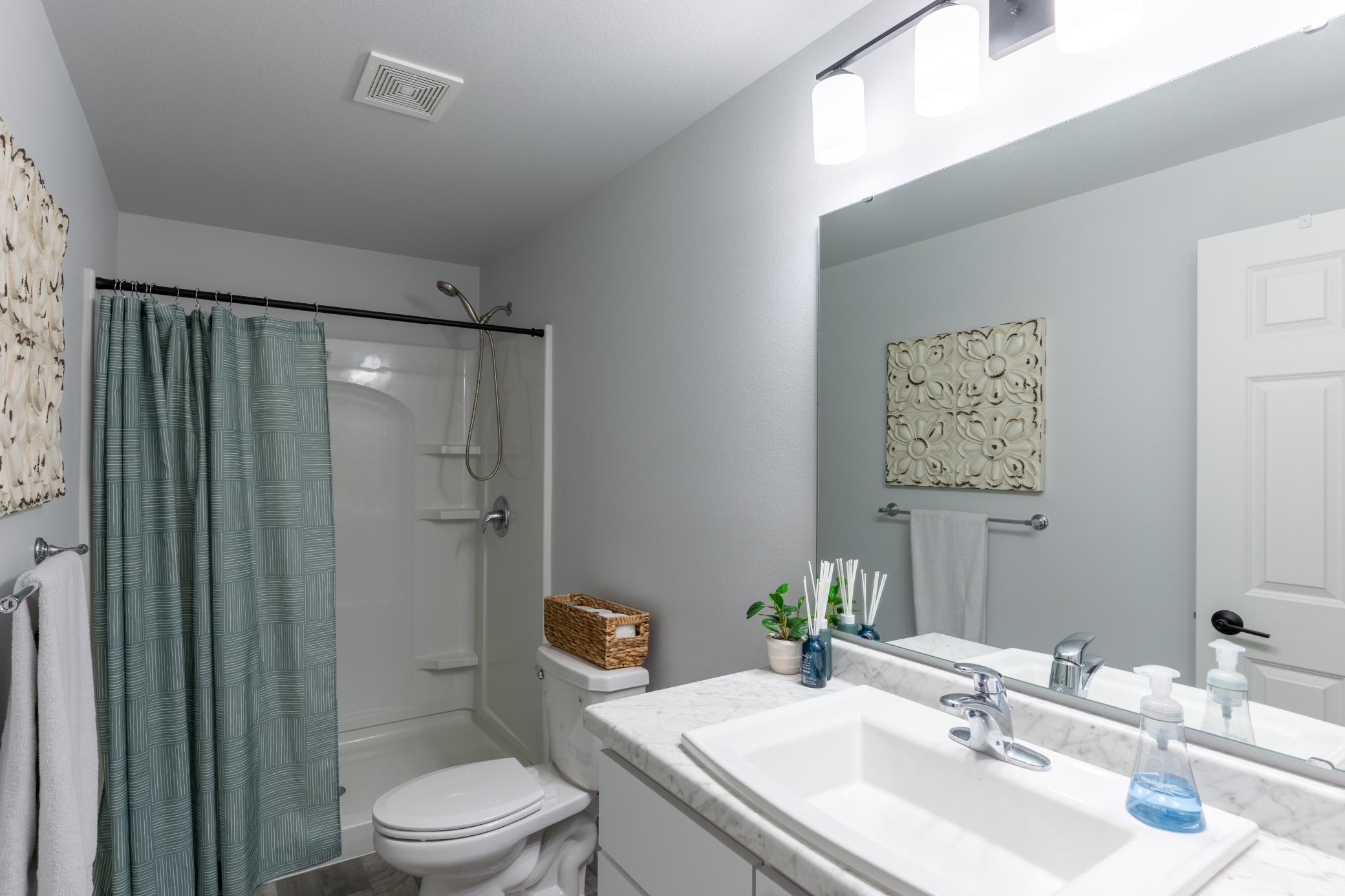 Basement Bathroom