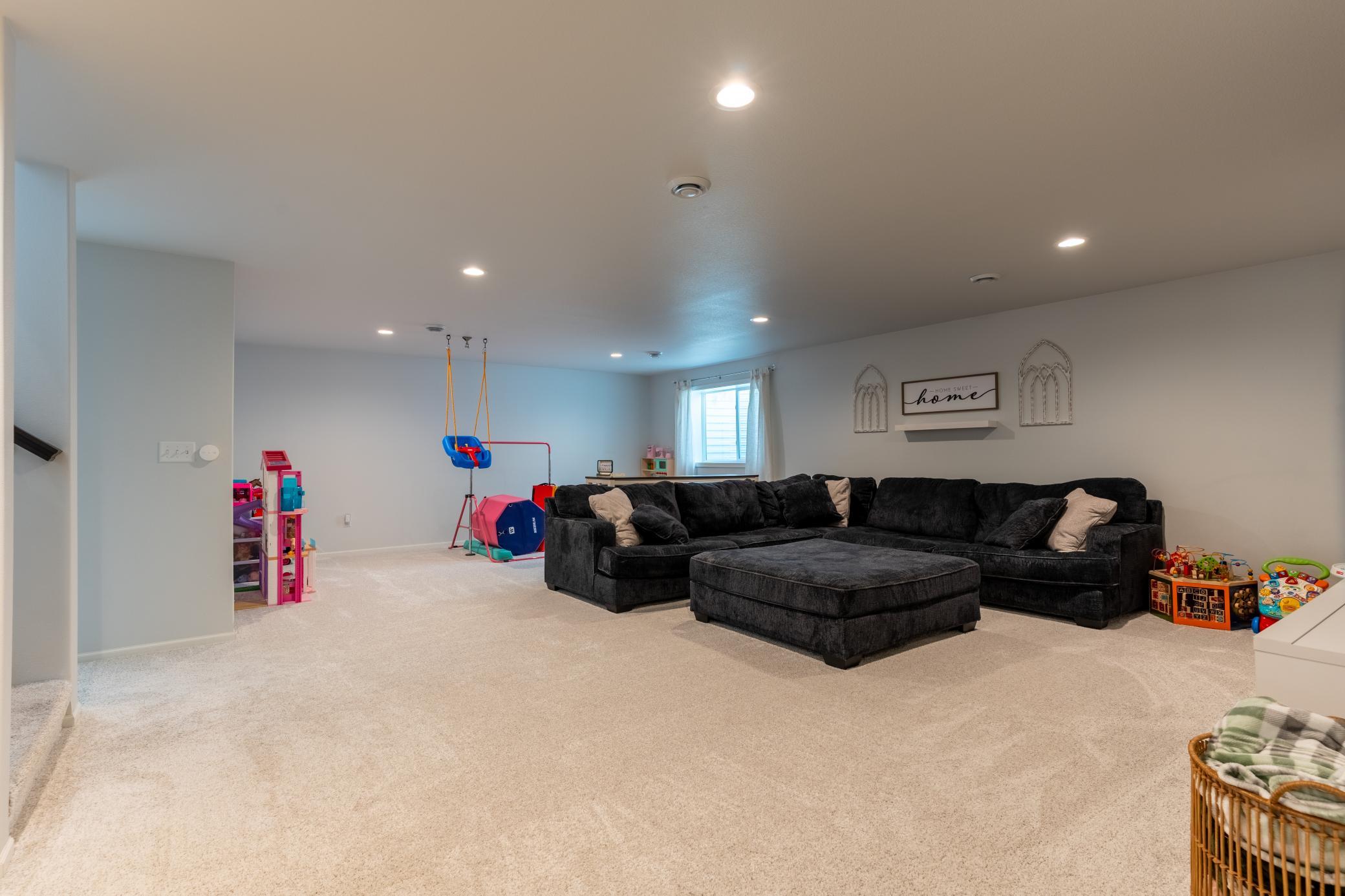 Basement Living Room
