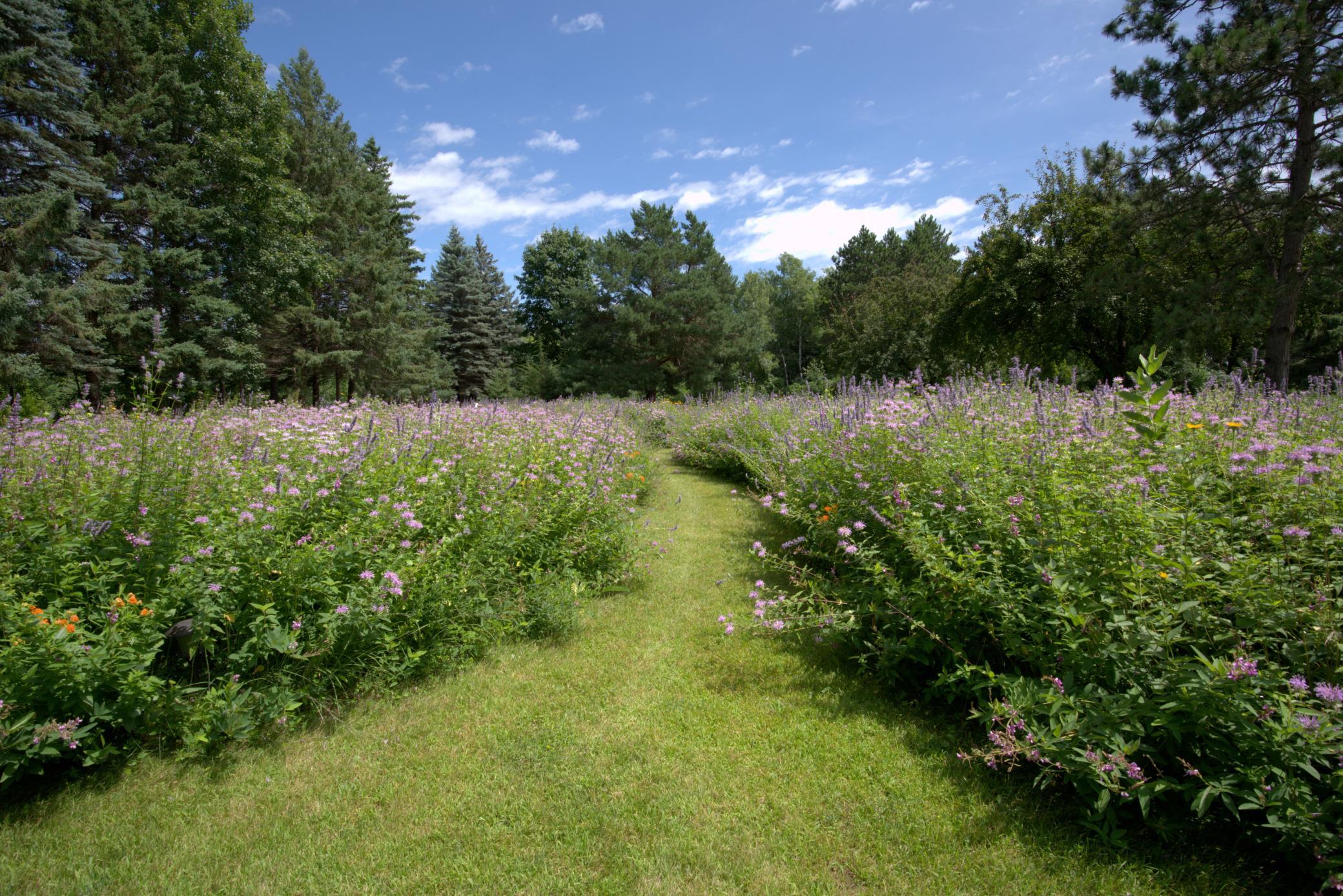 perennial gardens