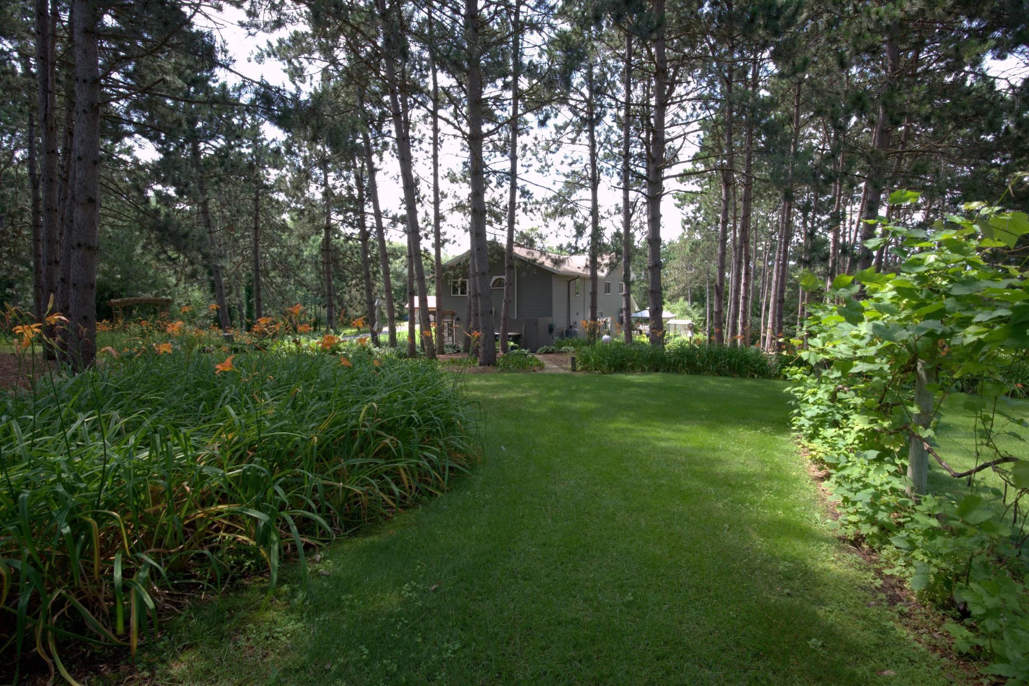 view from garden shed