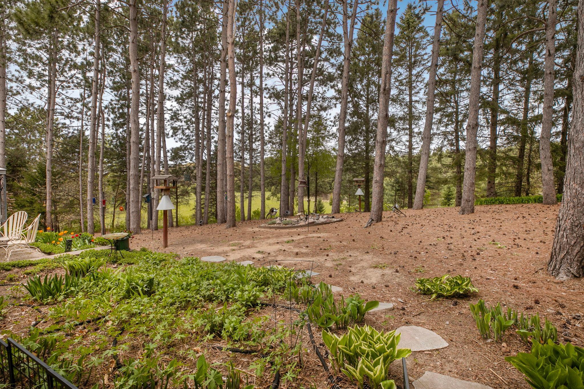 Walking path