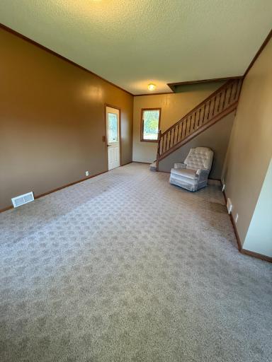 209 S Spring Avenue, Springfield, MN 56087