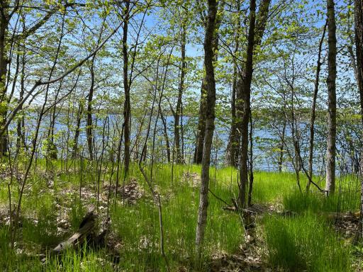 29675 407th Place, Aitkin, MN 56431