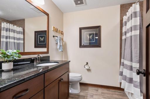 A full bathroom serves the two bedrooms and other areas on the lower walk-out level. The door to a large, unfinished storage room is located outside the bathroom door (not shown).