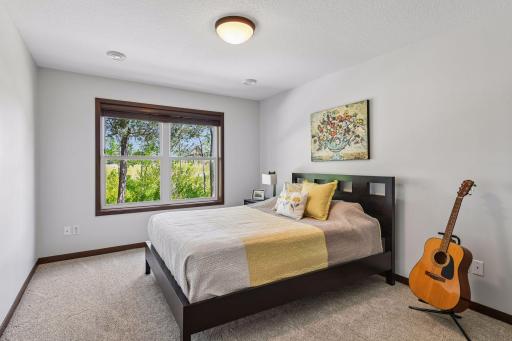 This is one of two bedrooms located on the lower walk-out level. A large closet is to the right (not shown).