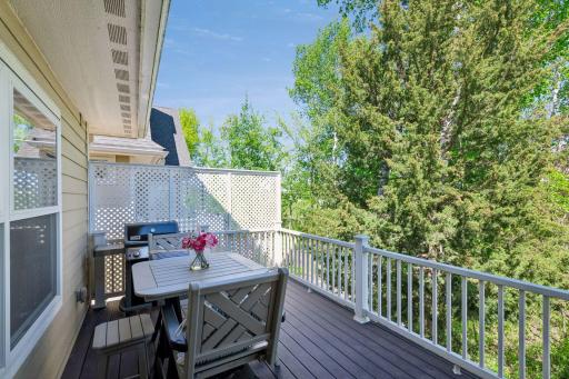 The elevated deck is large enough for grilling and entertaining.