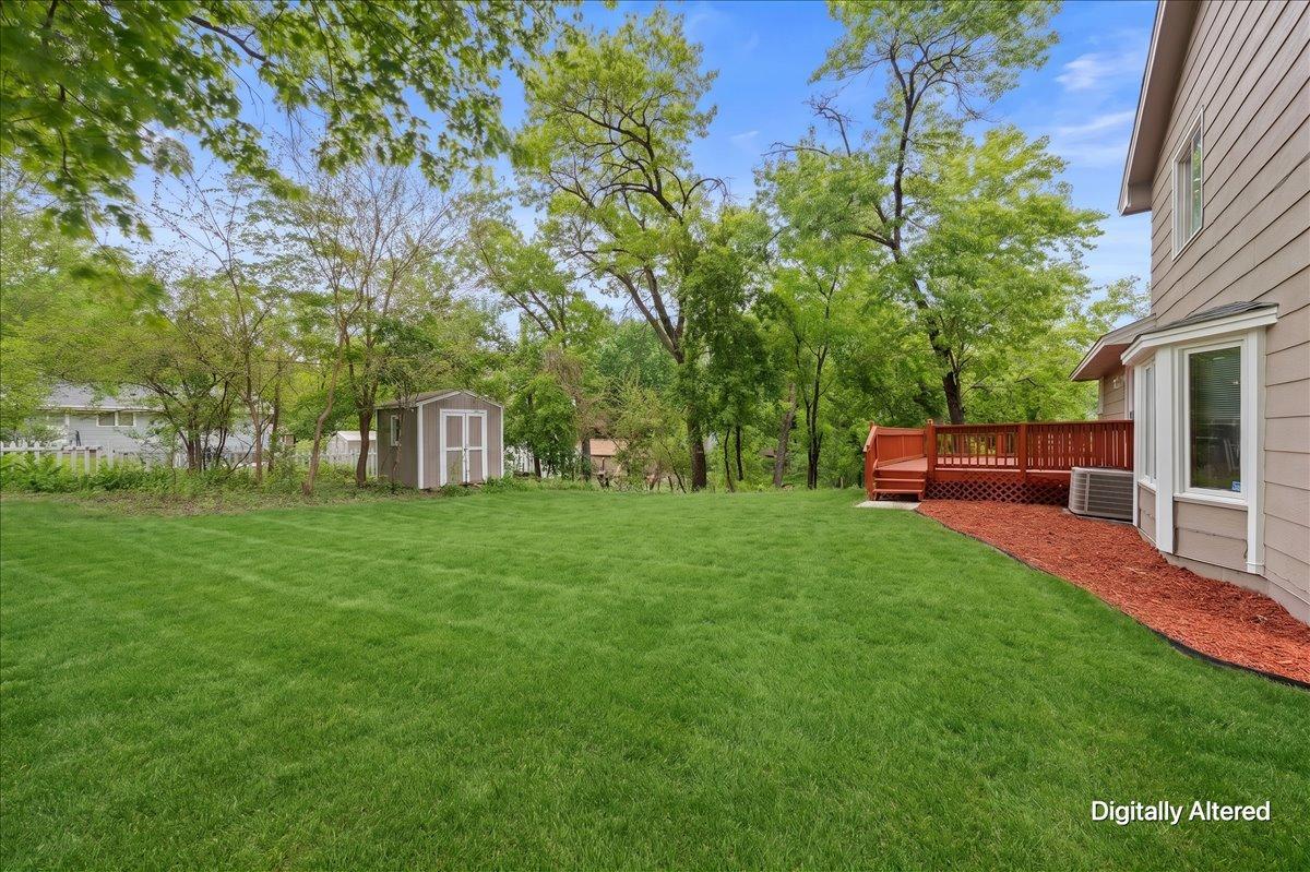 Backyard / Virtual grass