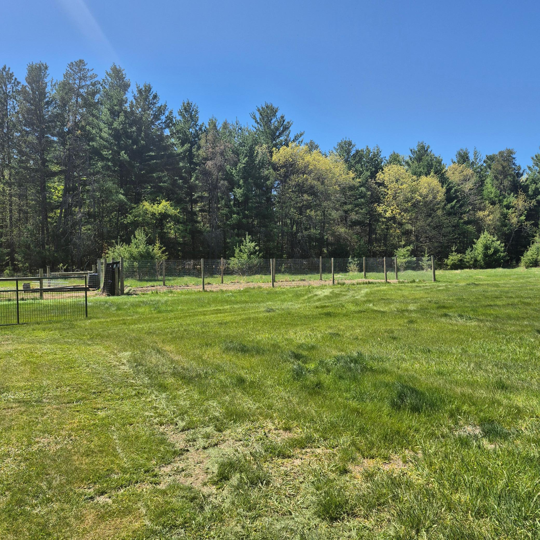 Mature tree perimeter