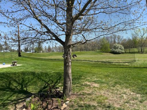 930 Cart Way Lane, Hinckley, MN 55037