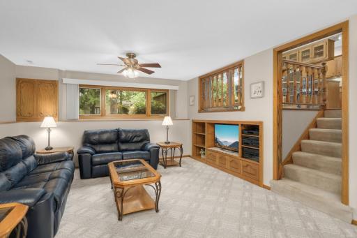 Lower level family room features custom built-ins