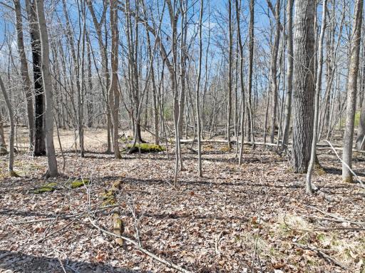 2 450th Street, Laporte, MN 56461