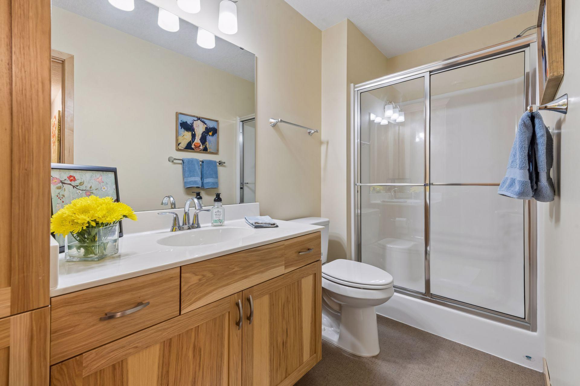 Lower Level Bathroom