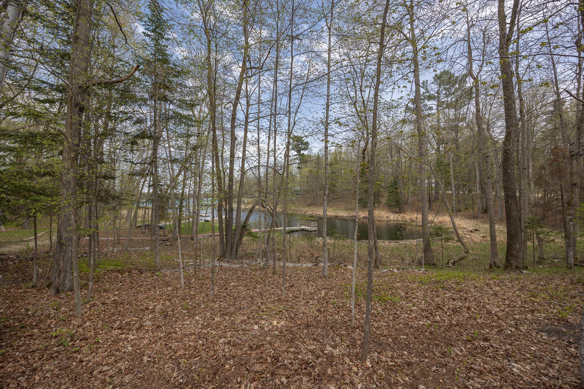 Heavily wooded lot