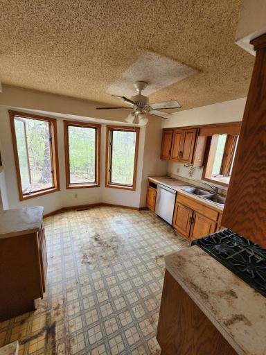 21391 Rum River Drive, Anoka, MN 55303