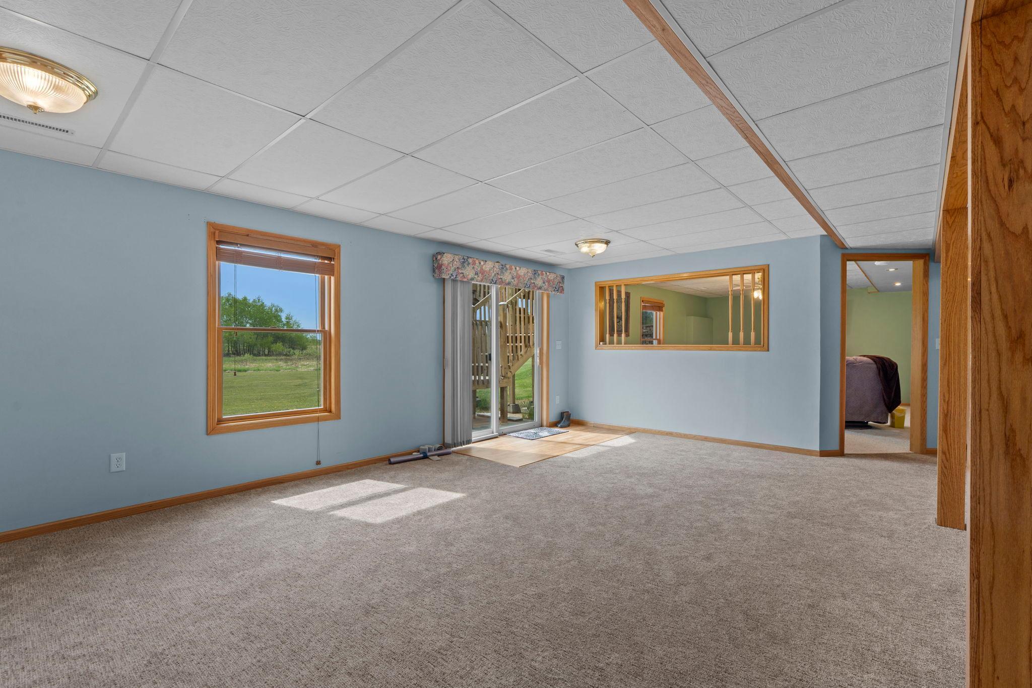 Lower level family room with walk-out