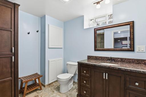 Lower level bathroom features steam shower!